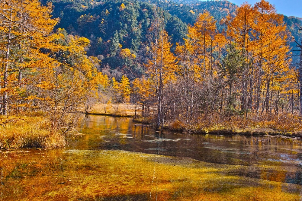 fdf2f93204628806f24ae82e20b32090_1686711189_768.jpg fdf2f93204628806f24ae82e20b32090_1686711189_768.jpg