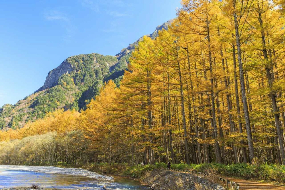 fdf2f93204628806f24ae82e20b32090_1686711221_1546.jpg fdf2f93204628806f24ae82e20b32090_1686711221_1546.jpg