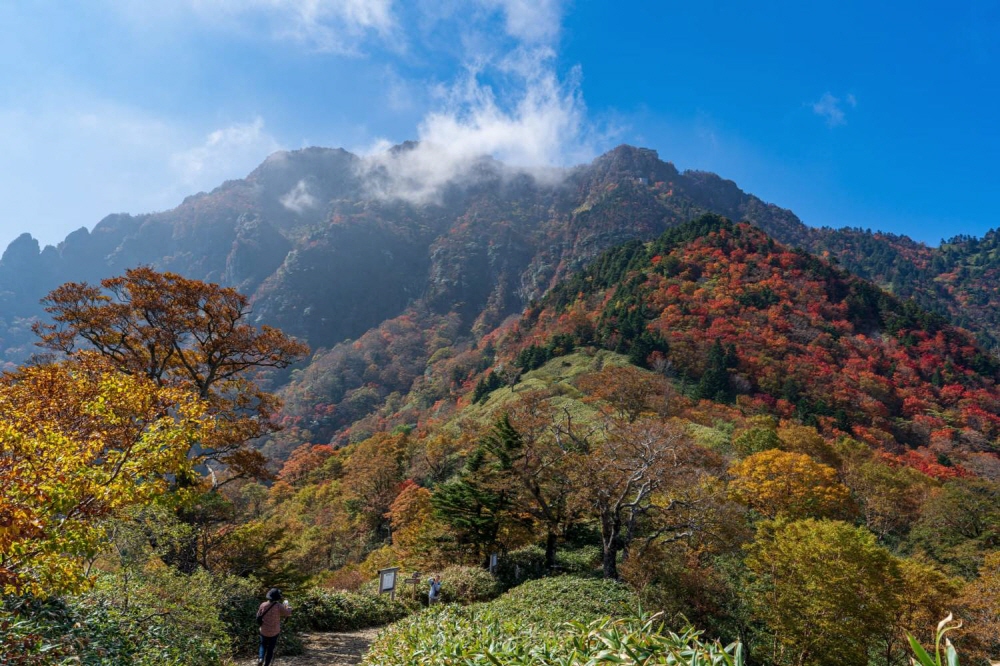 7df932819ce3c2fe5f103f8296db4636_1690446363_8054.jpg 7df932819ce3c2fe5f103f8296db4636_1690446363_8054.jpg