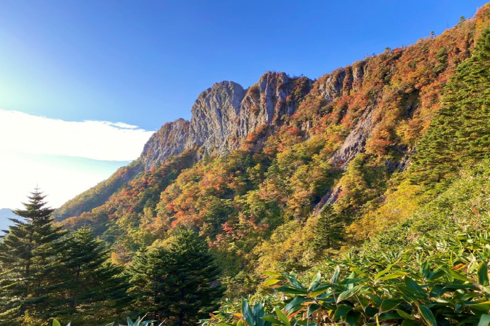 7df932819ce3c2fe5f103f8296db4636_1690446382_0092.jpg 7df932819ce3c2fe5f103f8296db4636_1690446382_0092.jpg