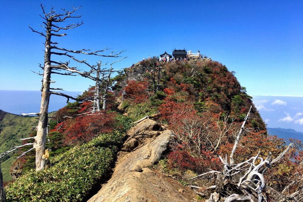 7df932819ce3c2fe5f103f8296db4636_1690446389_4144.jpg 7df932819ce3c2fe5f103f8296db4636_1690446389_4144.jpg