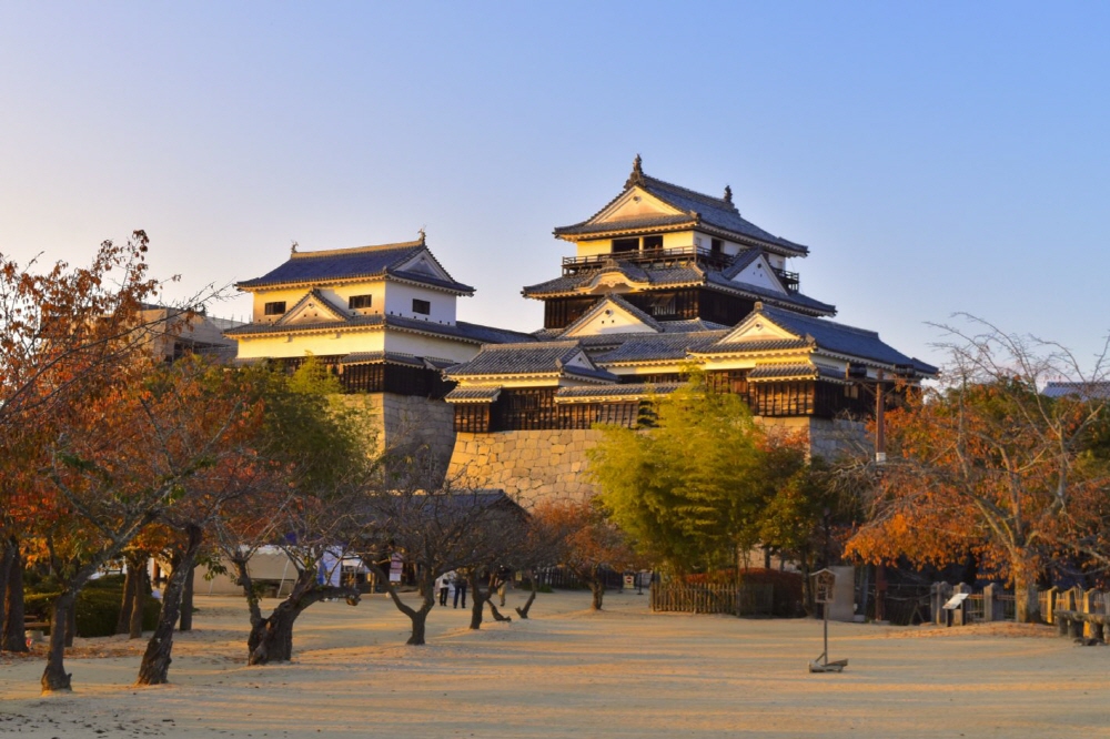 7df932819ce3c2fe5f103f8296db4636_1690446409_1569.jpg 7df932819ce3c2fe5f103f8296db4636_1690446409_1569.jpg