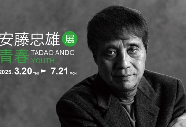 안도타다오(安藤忠雄)展, 靑春을 만나러 갑니다 3일