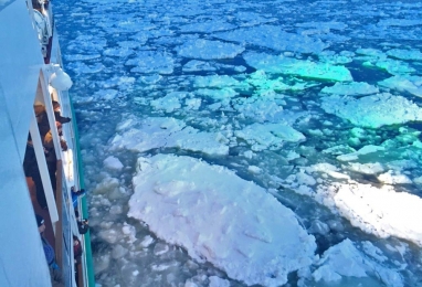 (설연휴) 雪国 동쪽 홋카이도 유빙 감상 5일 (도쿄 포함)