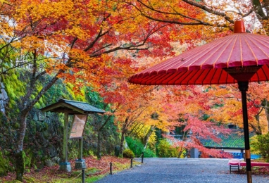 만추가경(晩秋佳景), 고야산&교토 4일