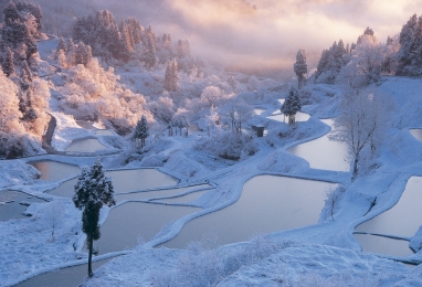 雪国을 즐기는 다양한 매력, 니가타 4일