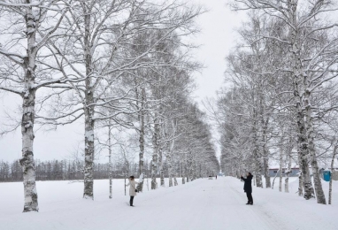 홋카이도(北海道) 설경 감상 5일