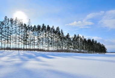 토카치(十勝) 겨울 이야기 4일