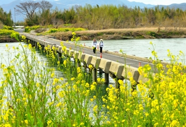 시코쿠 순례길 오헨로, 수행의 고치(高知) 5일