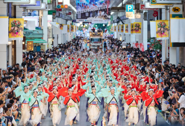 축제에 때를 맞춘 봄 날 고치(高知) 4일