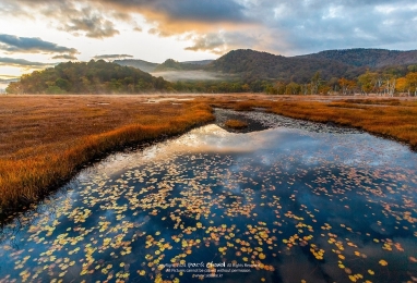 황금빛 오제(尾瀬)와 닛코 온천의 여유 4일
