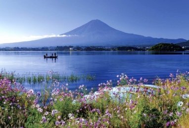 (추석)가을 후지산 둘레 길을 중심으로...4일