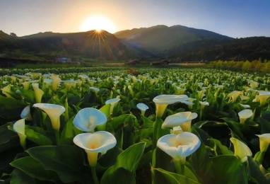 스푼 스타일의 새로운 타이페이 여행 4일