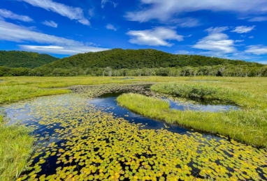 천상의 화원 오제(尾瀬)의 사흘 밤 4일