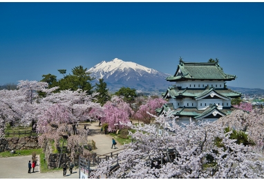 (특별기획) 히로사키 벚꽃과 램프의 료칸 3일