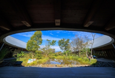 (고치현 지원) 어게인, 봄날엔 고치(高知)로 오세요