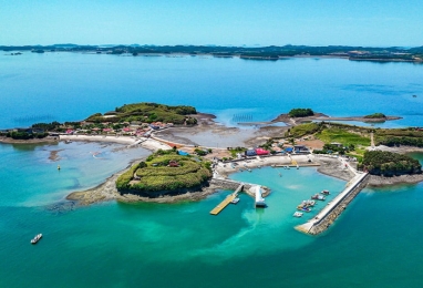 ‘한국의 몰디브’ 홍성 죽도(竹島) 대나무숲길