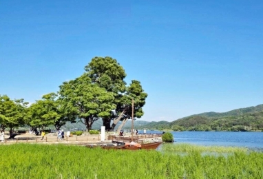 봄바람 따라 걷는 양평 두물머리길