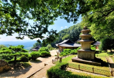 무량수전 배흘림기둥에 기대서서 2일