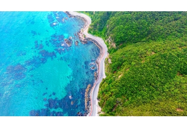 (번개여행) 달려볼까~ 동해 바다, 걸어볼까~ 초록 숲길 3일